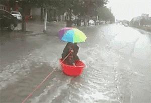 河北传统美食制作，驴肉火烧制作详细步骤指南