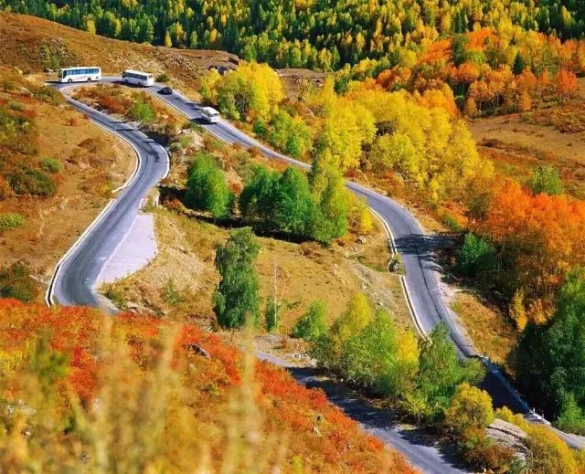 新疆阳光,温暖日常新疆情