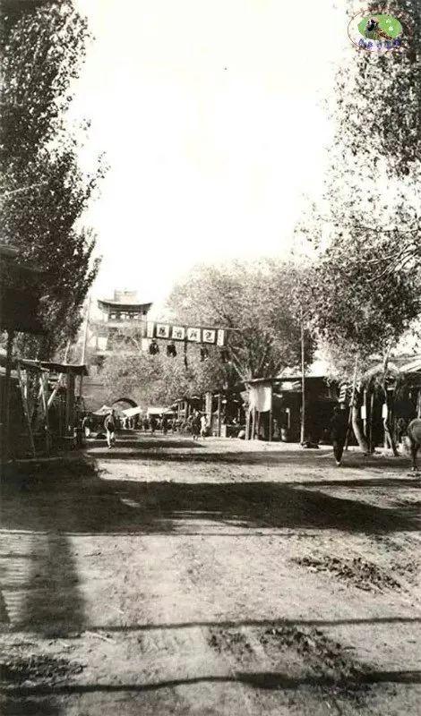 新疆阳光,温暖日常新疆情