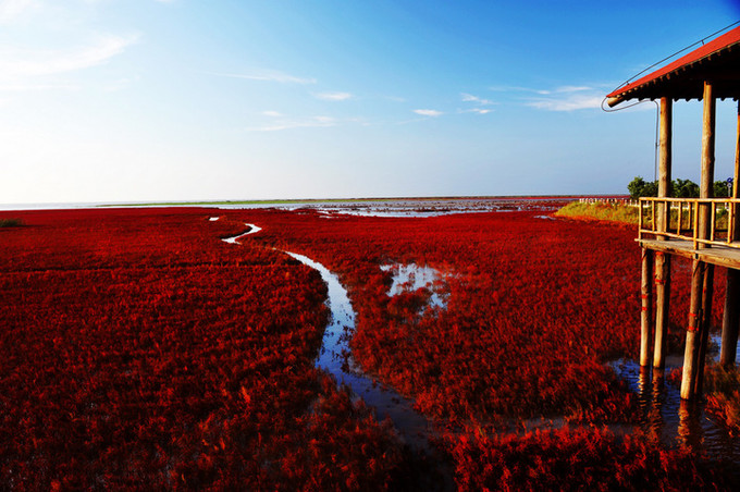 盘锦，城市与梦想的励志之旅