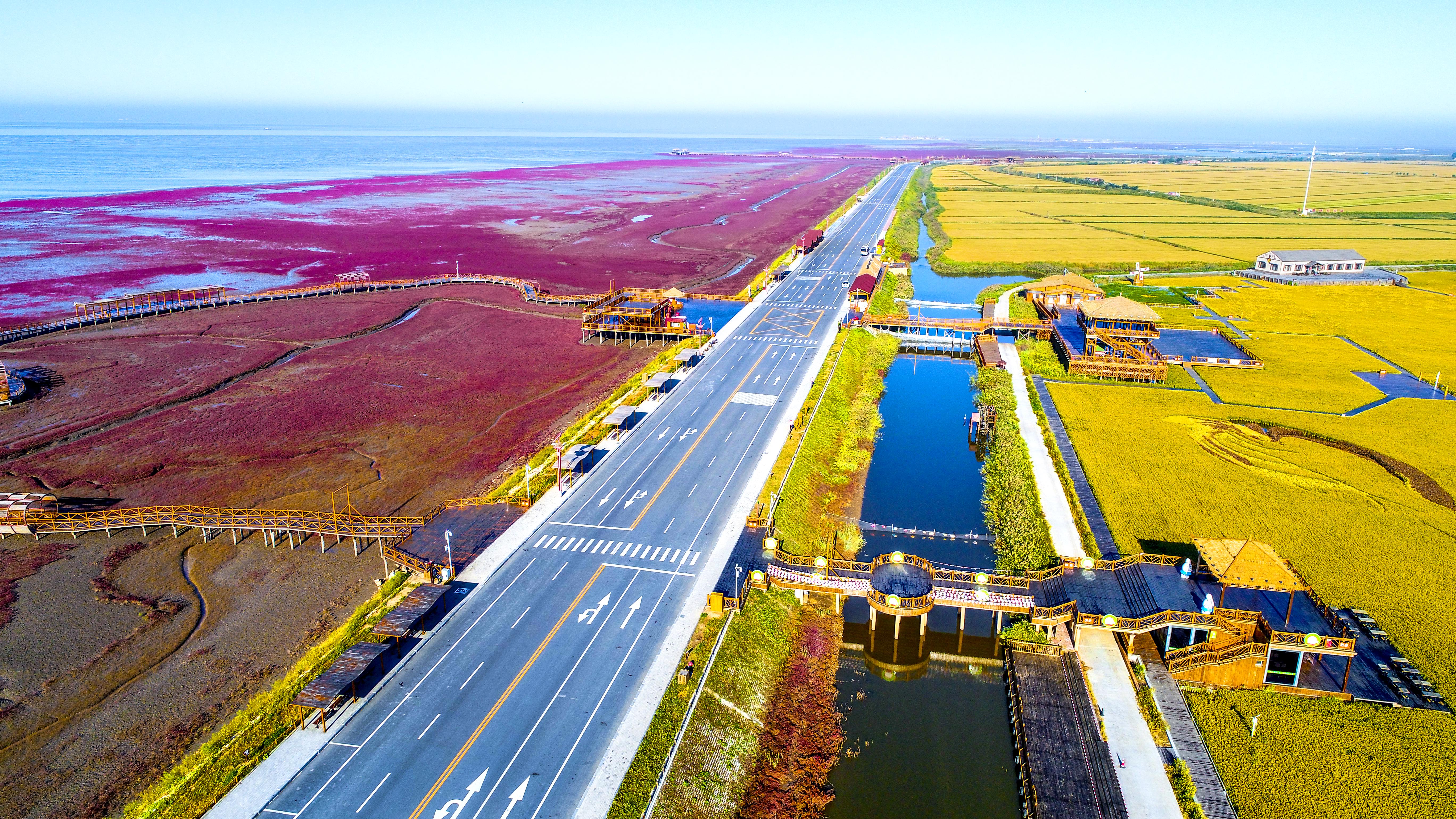 盘锦,城市与梦想的励志之旅