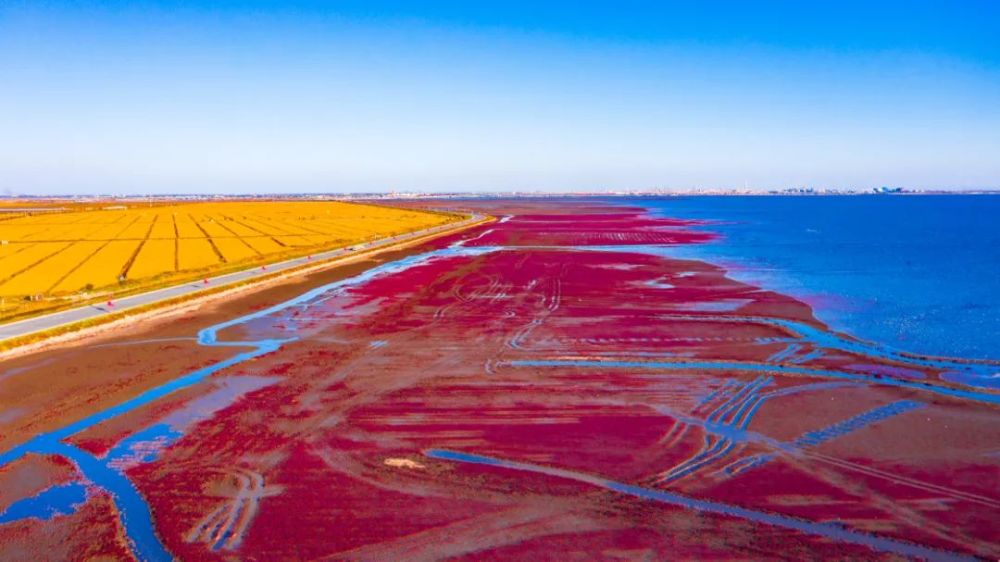 盘锦,城市与梦想的励志之旅