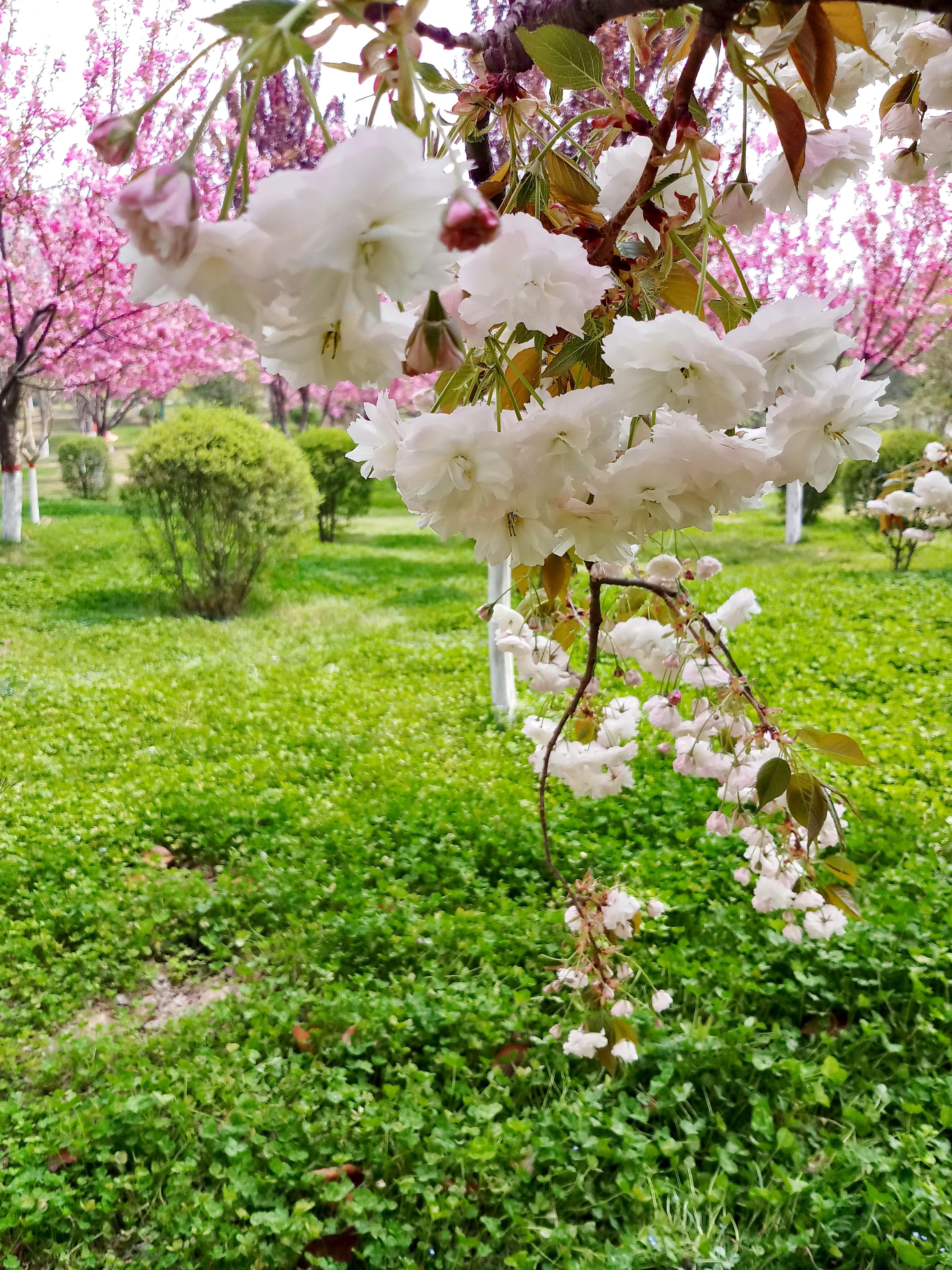 朝阳，城市活力与人文精神的璀璨映照